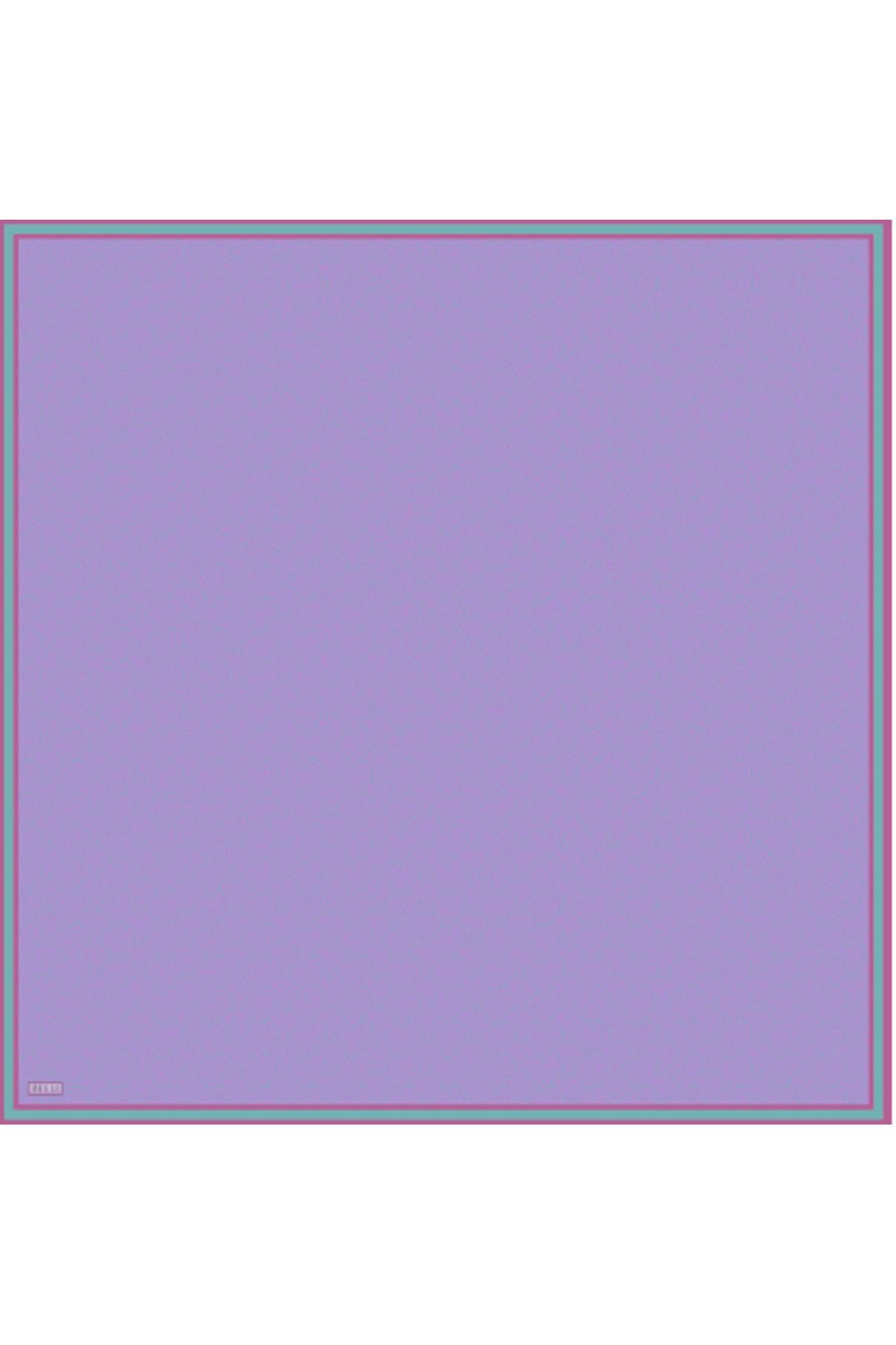 52 Belli Twill İpek Eşarp 4055D