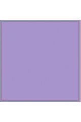 52 Belli Twill İpek Eşarp 4055D