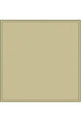 37 Belli Twill İpek Eşarp 4055D
